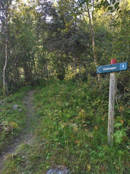 Na Er Vinteren Kommet Til Hallingdal 奥尔 外观 照片