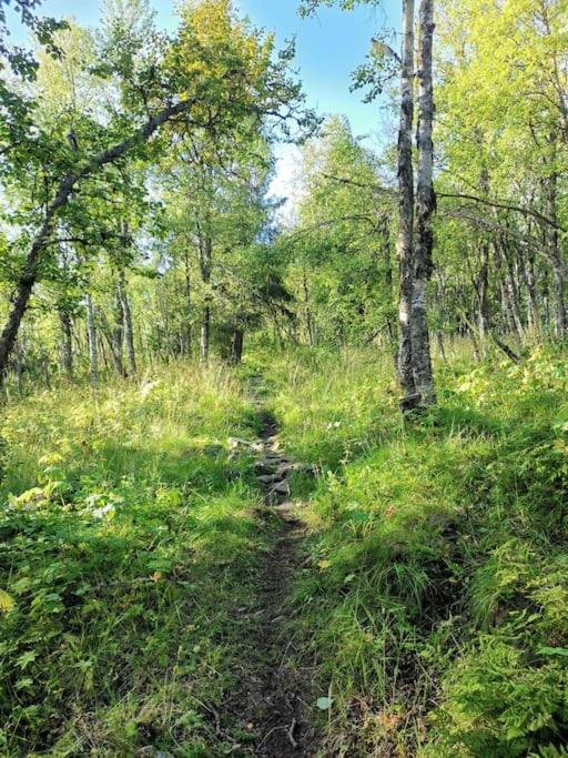 Na Er Vinteren Kommet Til Hallingdal 奥尔 外观 照片