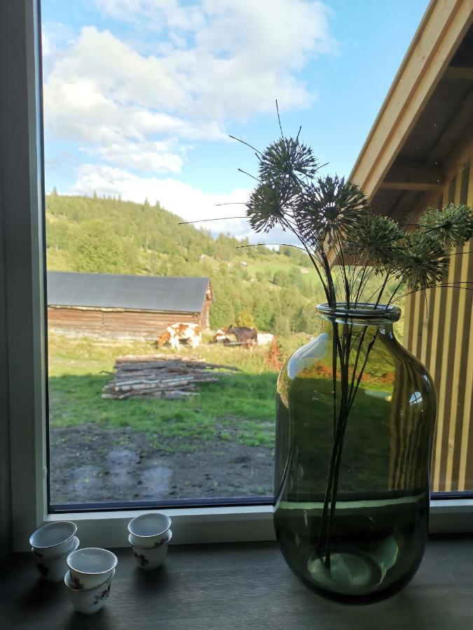 Na Er Vinteren Kommet Til Hallingdal 奥尔 外观 照片