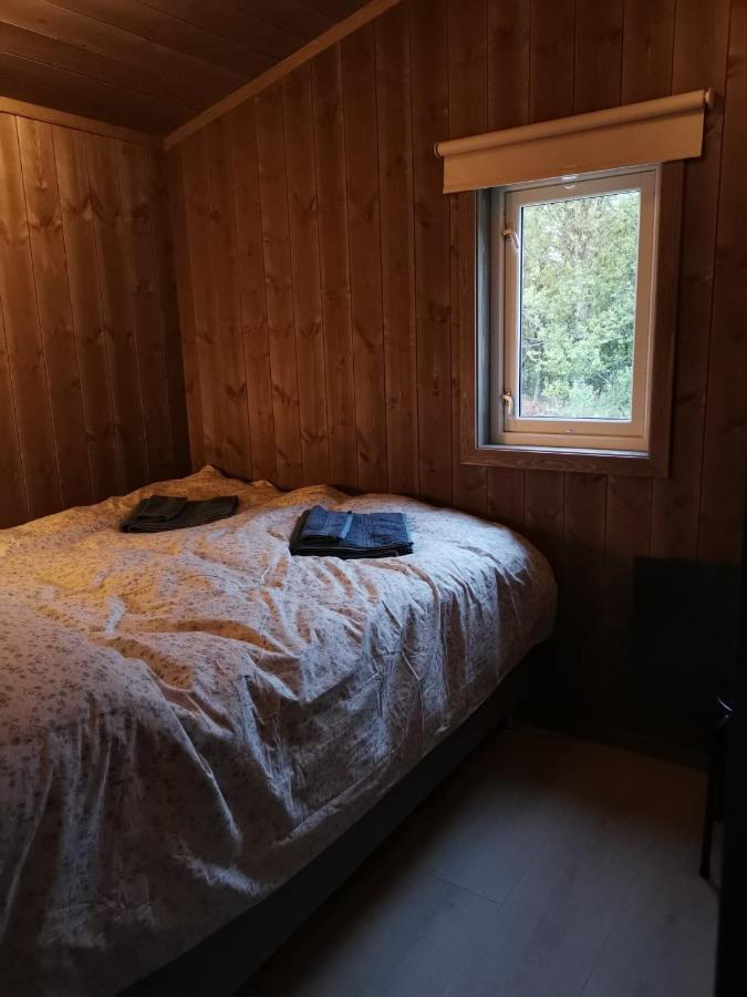 Na Er Vinteren Kommet Til Hallingdal 奥尔 外观 照片