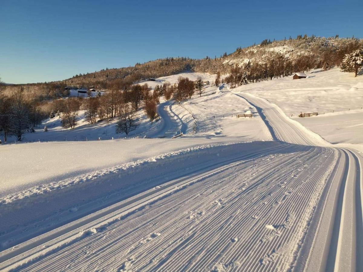 Na Er Vinteren Kommet Til Hallingdal 奥尔 外观 照片