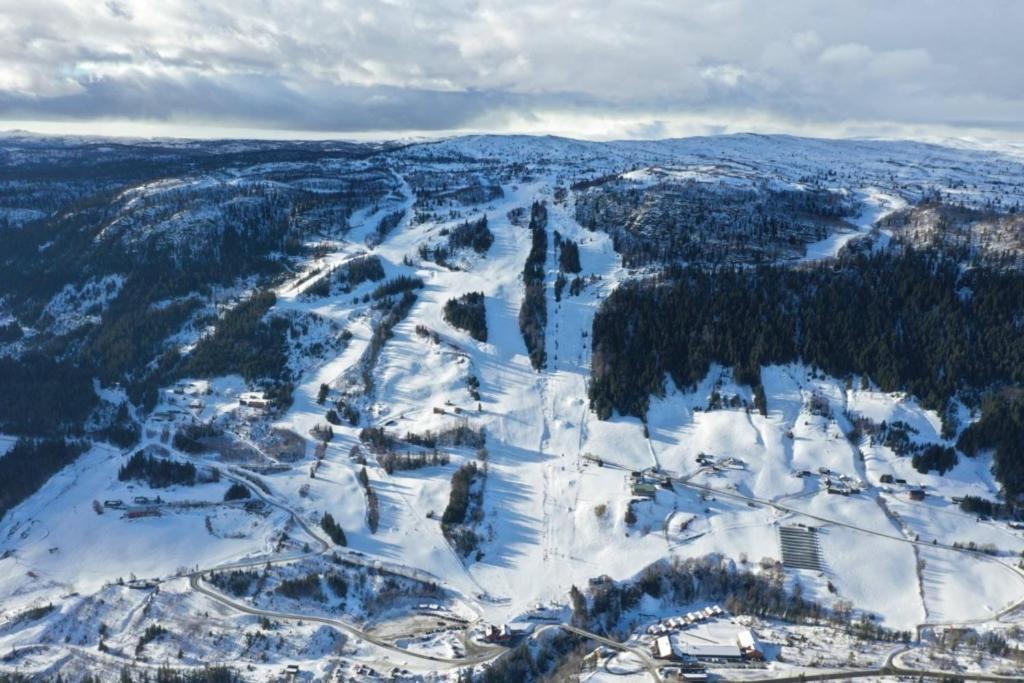 Na Er Vinteren Kommet Til Hallingdal 奥尔 外观 照片