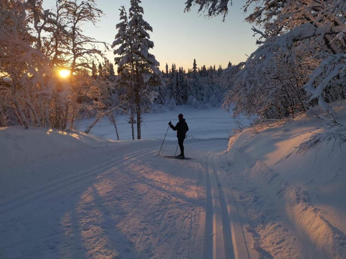 Na Er Vinteren Kommet Til Hallingdal 奥尔 外观 照片