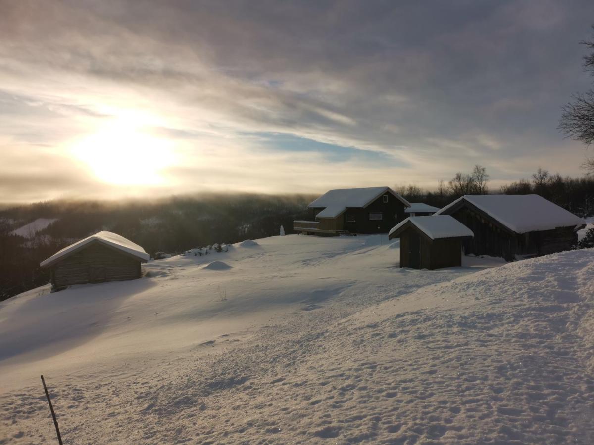 Na Er Vinteren Kommet Til Hallingdal 奥尔 外观 照片