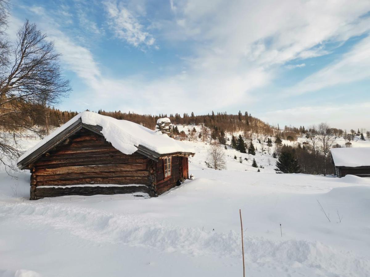 Na Er Vinteren Kommet Til Hallingdal 奥尔 外观 照片