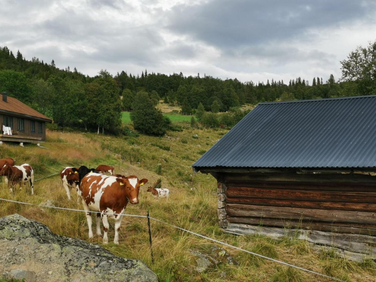 Na Er Vinteren Kommet Til Hallingdal 奥尔 外观 照片